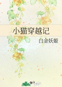小猫穿越记