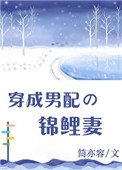 《穿成男配的锦鲤妻》