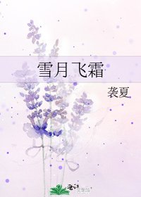 雪月飞霜