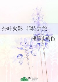 奈叶火影 菲特之旅