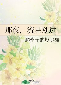 那夜，流星划过