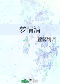 梦情清