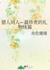 《猎人同人—最珍贵的礼物续篇》
