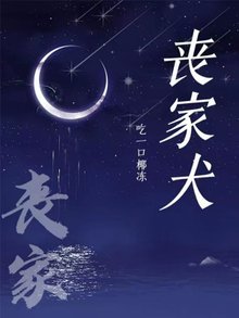 《丧家犬》