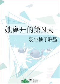 她离开的第N天