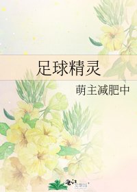 足球精灵
