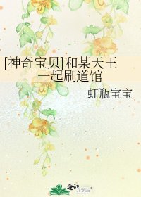 [神奇宝贝]和某天王一起刷道馆