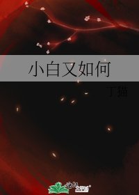 小白又如何