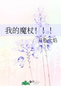 我的魔杖！！！