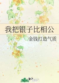 我把银子比相公