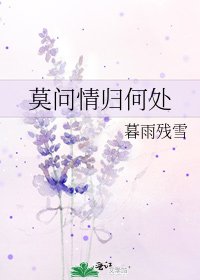 莫问情归何处
