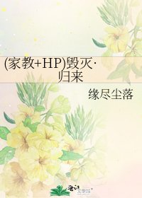 (家教+HP)毁灭·归来