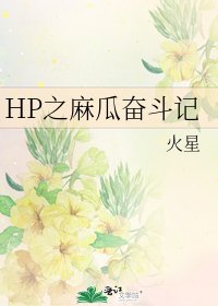 HP之麻瓜奋斗记
