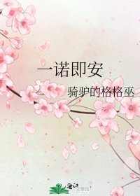 一诺即安