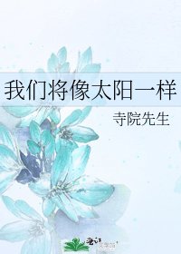 我们将像太阳一样