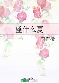 盛什么夏
