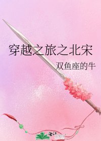 穿越之旅之北宋