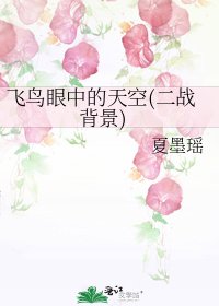 飞鸟眼中的天空(二战背景)
