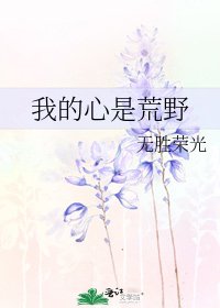 我的心是荒野