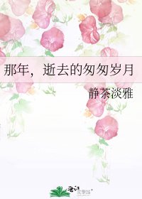 那年,逝去的匆匆岁月