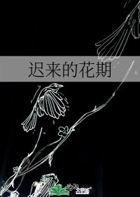 《迟来的花期》
