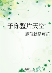 予你整片天空