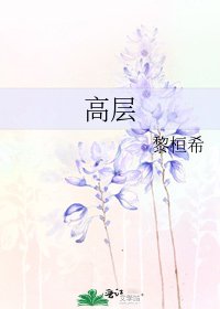 高层