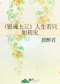 （银魂土三）人生若只如初见