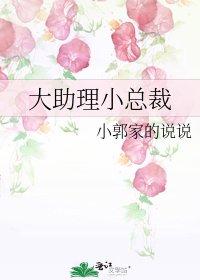 大助理小总裁