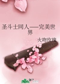 圣斗士同人——完美世界