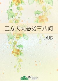 王方夫夫恶劣三八问