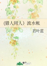 (猎人同人)流水帐