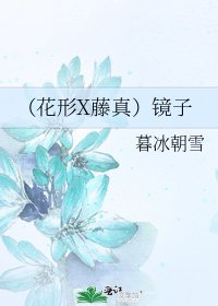 (花形X藤真)镜子