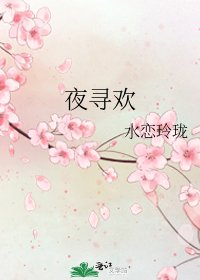 夜寻欢