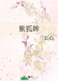 《紫狐眸》