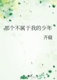 那个不属于我的少年