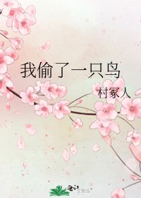《我偷了一只鸟》