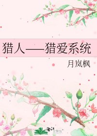 猎人——猎爱系统