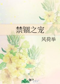 禁锢之宠