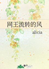 《网王流转的风》