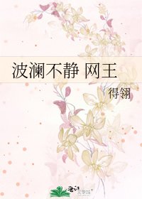 波澜不静 网王