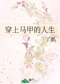 穿上马甲的人生