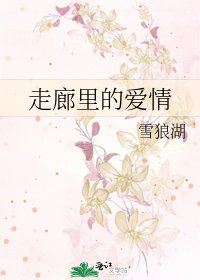 走廊里的爱情
