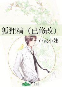 狐狸精（已修改）