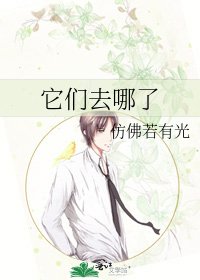 它们去哪了
