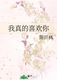 我真的喜欢你