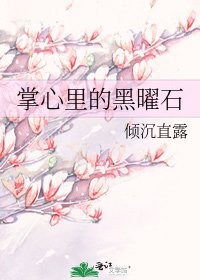 掌心里的黑曜石