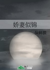 娇妻似锦