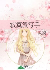 寂寞派写手