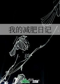 我的减肥日记
